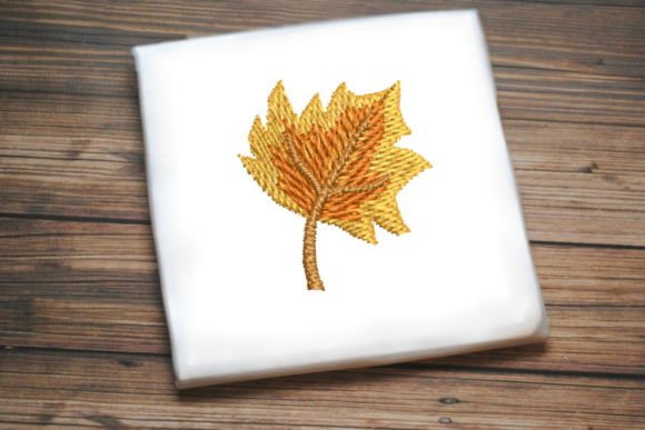 Beautiful Autumn Leaf Review